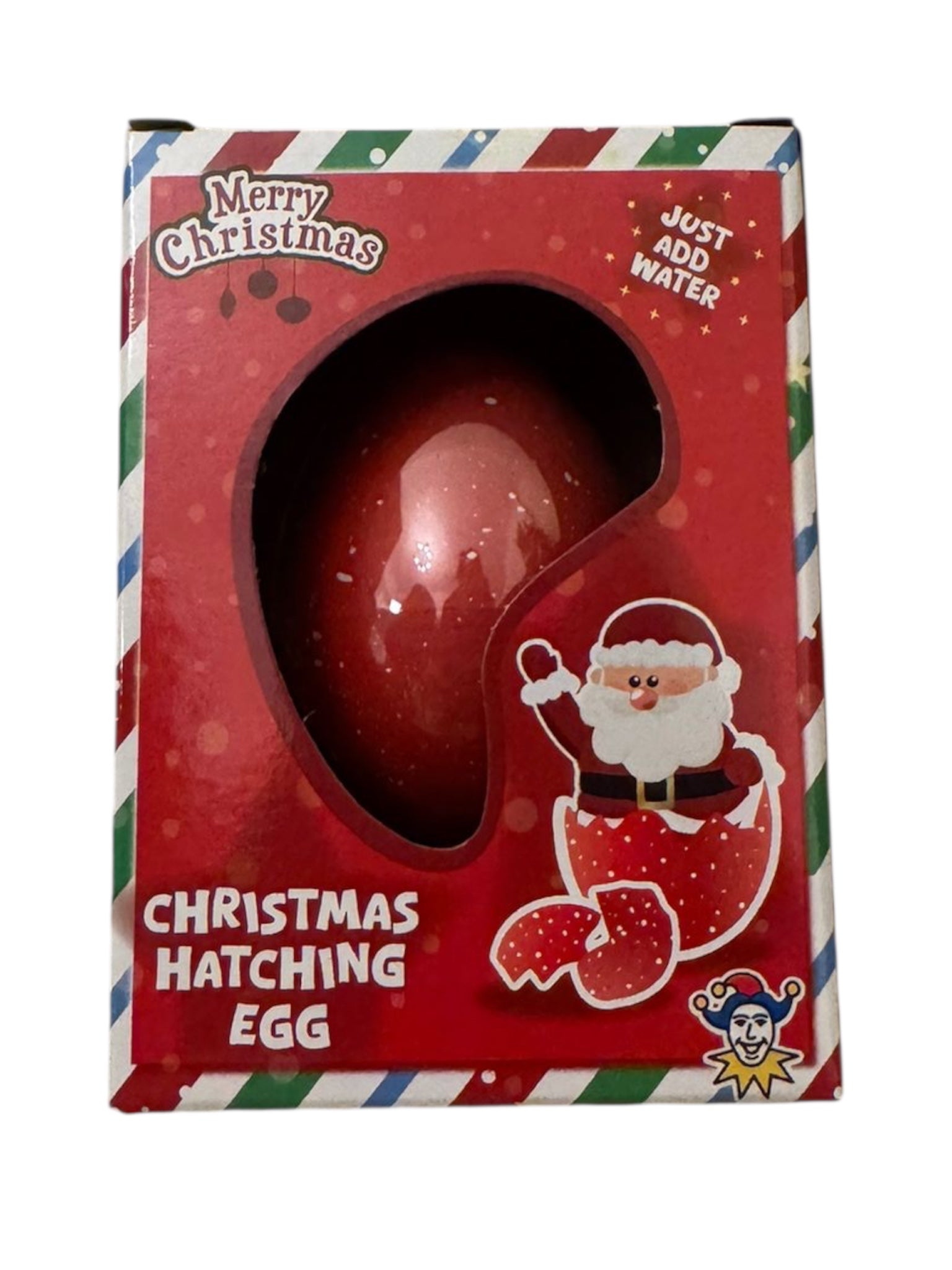 Mystery Christmas hatching egg